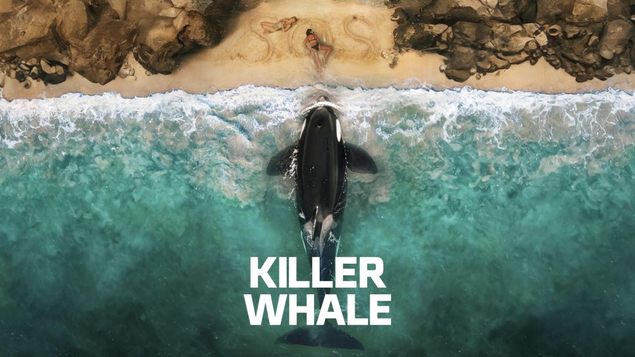 فيلم Killer Whale 2026 مترجم  بجودة عالية HD