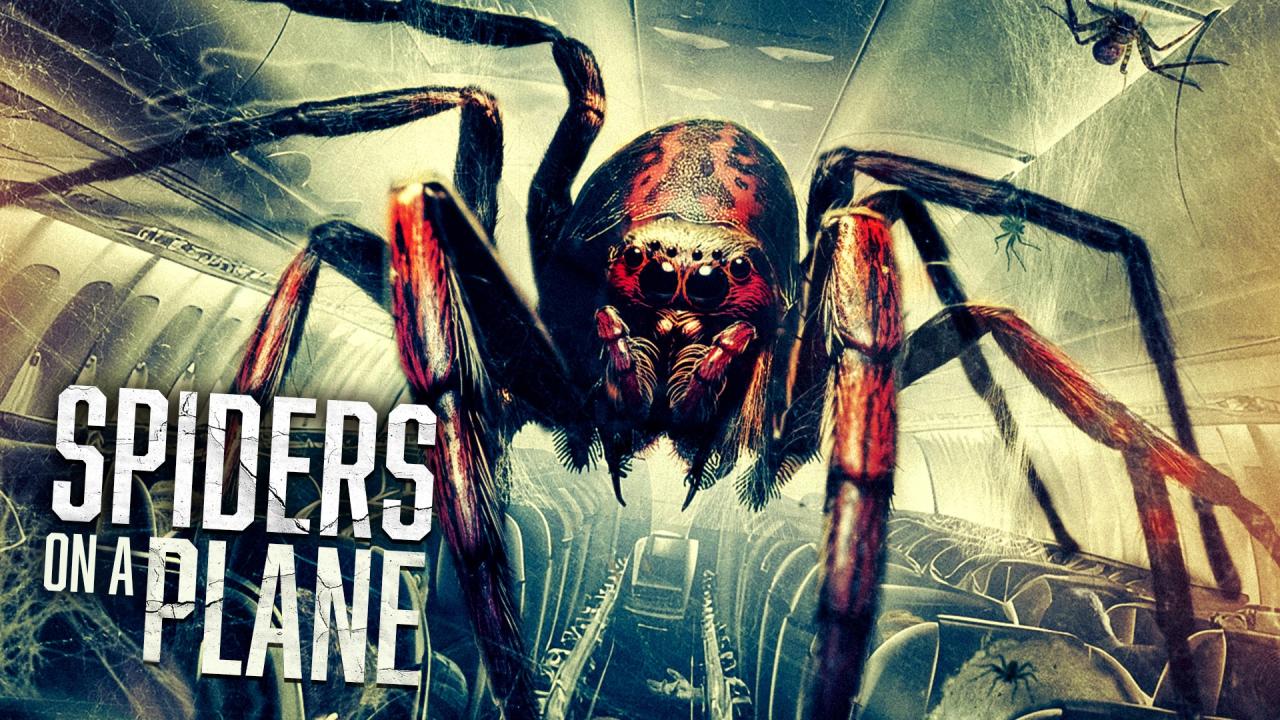 فيلم Spiders On A Plane 2024 مترجم  HD